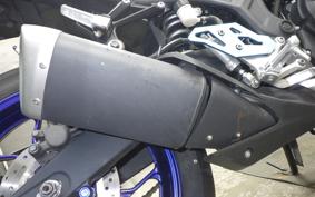 YAMAHA YZF-R25 2022 RG10J