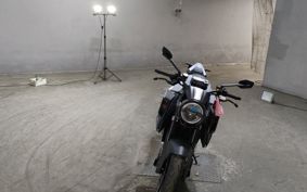 KTM BRABUS 1300R V3940