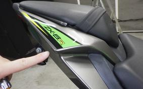 KAWASAKI NINJA ZX-6R A 2019 ZX636G