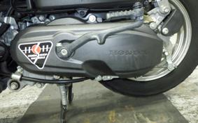 HONDA TACT Basket AF79