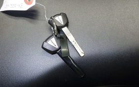 KAWASAKI ZX-4RR 2023 ZX400P