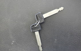 HONDA ZOOMER 1999 AF58