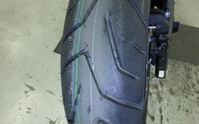 TRIUMPH TIGER 900 RALLY PRO 2026