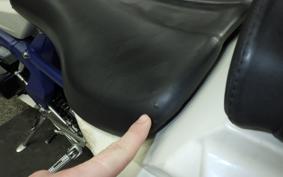 TRIUMPH DAYTONA 675 2009