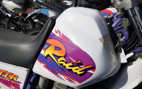 YAMAHA TT250R RAID 4GY