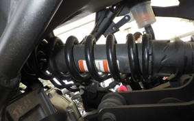 KAWASAKI ZX-4RR 2024 ZX400P