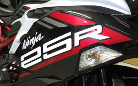 KAWASAKI ZX-25R 1999 ZX250E