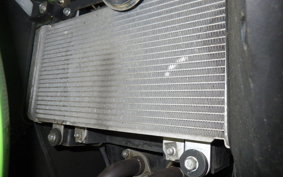 KAWASAKI NINJA 250 EX250L