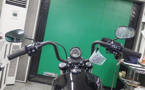 HARLEY FXBB1920 2025