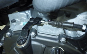 KAWASAKI ZX-4RR 2023 ZX400P