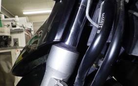 HONDA LEAD 110 2024 JF19