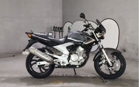 YAMAHA YBR250 PCNL