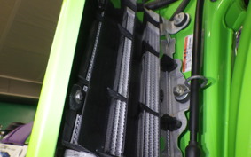 KAWASAKI KLX250 Gen.2 LX250S