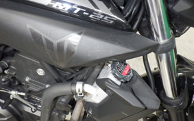 YAMAHA MT-25 2021 RG10J
