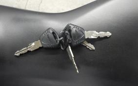 TRIUMPH DAYTONA 675 R 2016