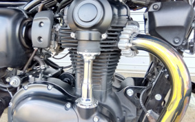 KAWASAKI W800 STREET 2020 EJ800B