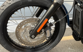 HARLEY FXBB 2018 YJJ