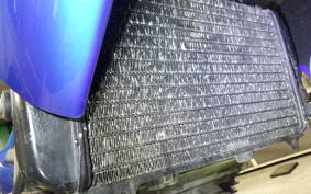 YAMAHA TRX850 1998 4NX