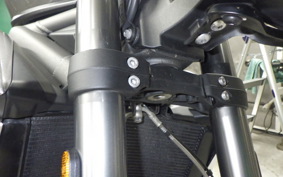TRIUMPH STREET TRIPLE RS 2020
