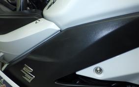 SUZUKI GSX250RA
