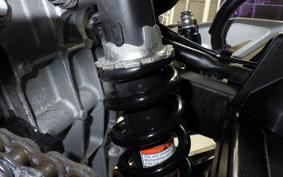 KAWASAKI NINJA 250 EX250P