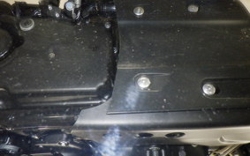 TRIUMPH SCRAMBLER 900 2025