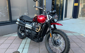 TRIUMPH SCRAMBLER 2022 DAD78G