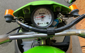 HONDA REBEL 1100 DCT 2021 SC83