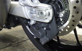 TRIUMPH SPEED TWIN 2024