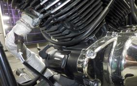 OTHER +UNREGISTERED MODEL by BDS250 2015