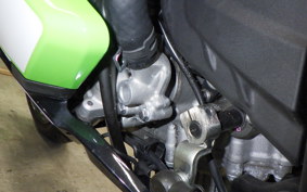 KAWASAKI ZX-4RR 2025 ZX400P
