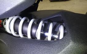 OTHER CAN-AMﾗｲｶｰ900 RALLYED 2019