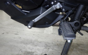 KAWASAKI VERSYS 250 A 1973 LE250D