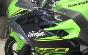 KAWASAKI NINJA 250 2 EX250P