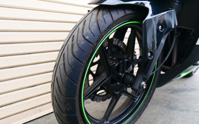 KAWASAKI NINJA 250R EX250K