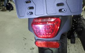HARLEY RH975S 2023