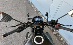 SUZUKI JIKUSA-250 ED22B