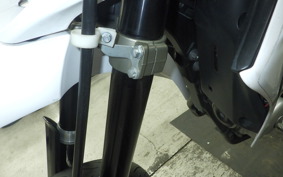 YAMAHA WR250X 2024
