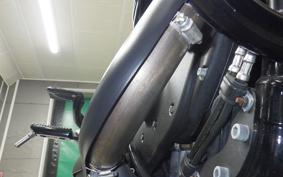 HARLEY XL883N 2020