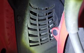 YAMAHA MAJESTY 250 C SG03J