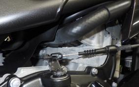 KAWASAKI ZX-25R 2019 ZX250E