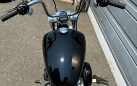 HARLEY FXST1340-1450 2022 BVJ