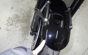 KAWASAKI Z900RS CAFE 2024 ZR900K