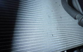 KAWASAKI NINJA 1000 SX 2024 ZXT02K