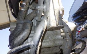 KAWASAKI KLX250 LX250E