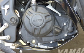 YAMAHA YZF-R25 RG10J