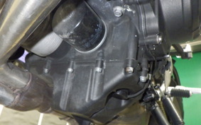 YAMAHA MT-09 2014 RN34J