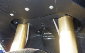 APRILIA RSV1000 MILLE 2004
