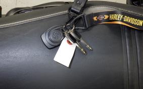 HARLEY RH975 2023