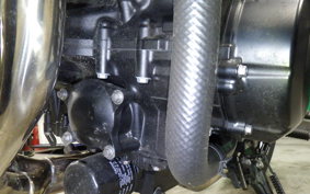 KAWASAKI Z900RS 2025 ZR900K
